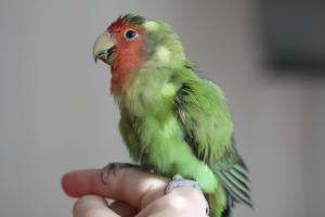 blog-19755-1256239698_thumb.jpg