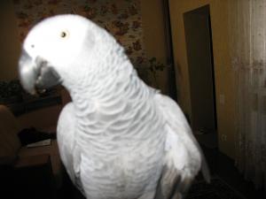 blog-20989-1245763559_thumb.jpg