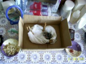 blog-21169-1244425059_thumb.jpg