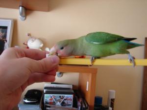 blog-21645-1250162427_thumb.jpg