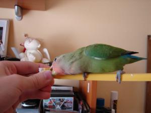 blog-21645-1250162499_thumb.jpg