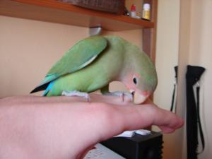 blog-21645-1250162540_thumb.jpg