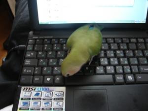 blog-21645-1250162576_thumb.jpg