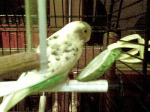 blog-21899-1250839629_thumb.jpg