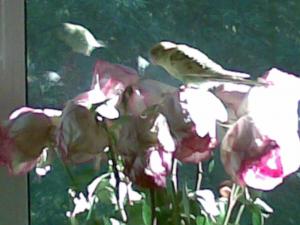 blog-21899-1250839739_thumb.jpg