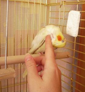 blog-22152-1250869584_thumb.jpg