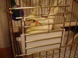 blog-22152-1252221628_thumb.jpg