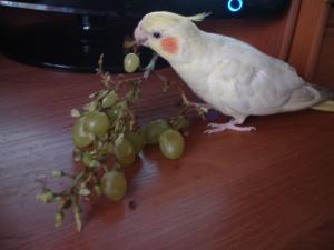 blog-22152-1252222488_thumb.jpg