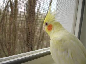blog-22152-1271859713_thumb.jpg