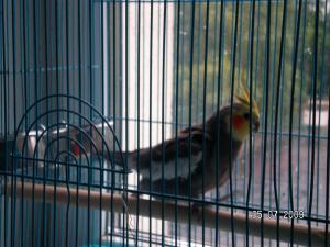blog-22623-1249923740_thumb.jpg