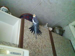 blog-22623-1249975440_thumb.jpg