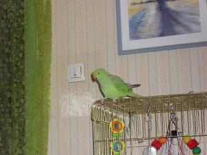 blog-22890-1251623761_thumb.jpg