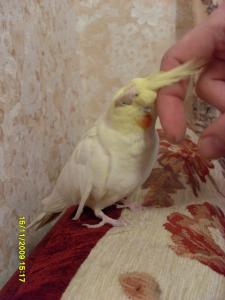 blog-23023-1258318724_thumb.jpg
