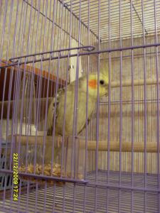blog-23023-1261508360_thumb.jpg