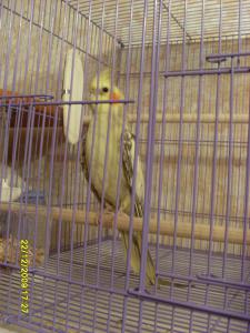 blog-23023-1261508424_thumb.jpg