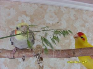 blog-23023-1279524795_thumb.jpg