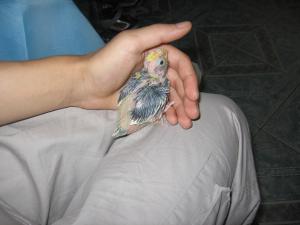 blog-23882-1260961233_thumb.jpg