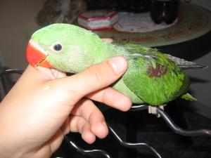 blog-23882-1260961305_thumb.jpg