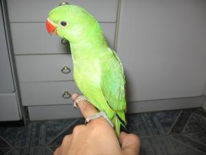 blog-23882-1260961331_thumb.jpg