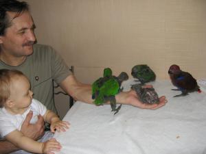 blog-23882-1260962139_thumb.jpg