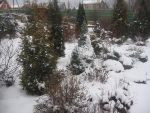 blog-23882-1262105514_thumb.jpg