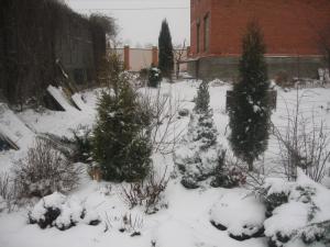 blog-23882-1262106365_thumb.jpg