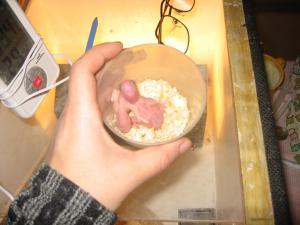 blog-23882-1262481251_thumb.jpg