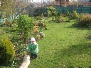 blog-23882-1262510163_thumb.jpg