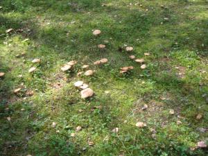 blog-23882-1262724187_thumb.jpg