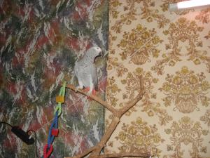 blog-24096-1259679461_thumb.jpg