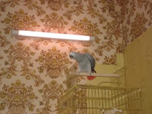blog-24096-1259679687_thumb.jpg