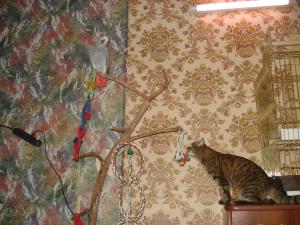 blog-24096-1259679731_thumb.jpg
