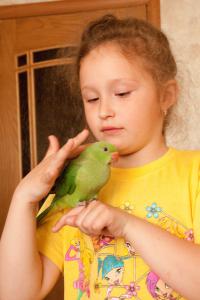 blog-24329-1306753335_thumb.jpg