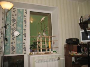 blog-24454-1318777930_thumb.jpg