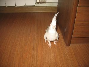 blog-24454-1318778331_thumb.jpg