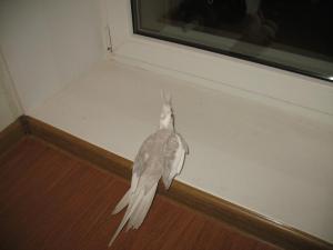 blog-24454-1318778342_thumb.jpg
