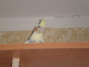 blog-24873-1269694044_thumb.jpg