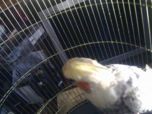 blog-24873-1271865261_thumb.jpg
