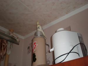 blog-24873-1272181227_thumb.jpg