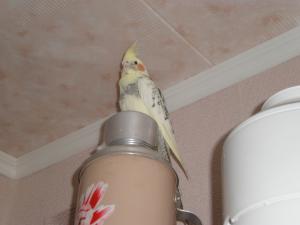 blog-24873-1272181242_thumb.jpg