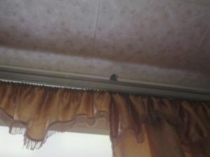 blog-24873-1274717725_thumb.jpg