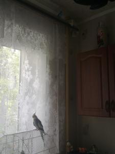 blog-24873-1283517612_thumb.jpg