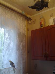 blog-24873-1283517628_thumb.jpg