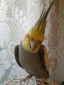 blog-24873-1283518027_thumb.jpg