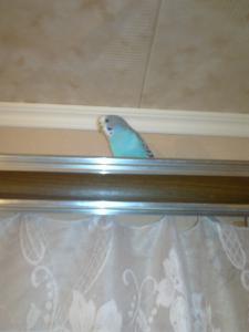 blog-24873-1283518369_thumb.jpg