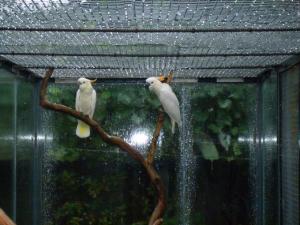 blog-25-1167420043_thumb.jpg