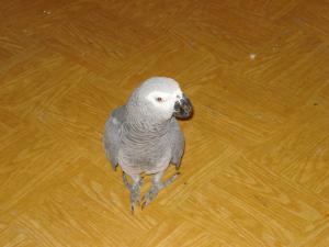 blog-25116-1271837422_thumb.jpg