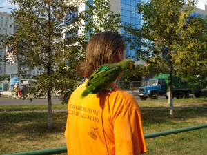 blog-25116-1281956255_thumb.jpg