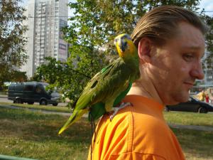 blog-25116-1281956264_thumb.jpg