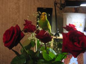 blog-25629-1269956430_thumb.jpg
